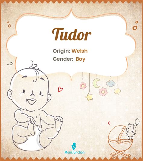 Tudor: Name Meaning, Popularity and Info on BabyNames.com